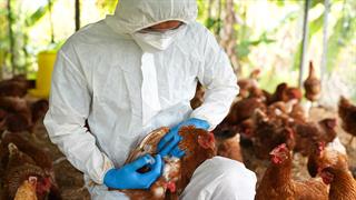ΗΠΑ: Δεύτερο κρούσμα γρίπης των πτηνών