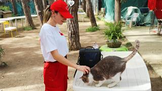 Ο Ελληνικός Ερυθρός Σταυρός ενίσχυσε τα αδέσποτα του Φιλοζωικού Συλλόγου Νέας Φιλαδέλφειας