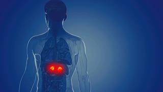 Κορτιζόλη: Τι λειτουργίες ρυθμίζει στον οργανισμό