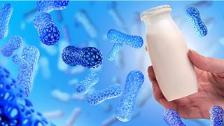 Πόσο επηρεάζουν τη θεραπεία του καρκίνου μικροβίωμα και προβιοτικά