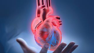 20ο Συνέδριο Καρδιαγγειακής Ιατρικής CardioAthena 2024