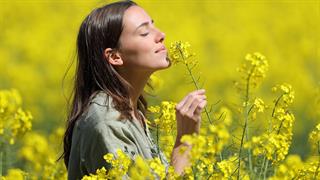 Σφύριγμα αναπνοής και Άνοιξη