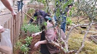 ΚEΘΕΑ Ήπειρος: Πρόγραμμα κατάρτισης ‘’Αρωματικά-Φαρμακευτικά Φυτά’’