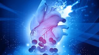 Ημερίδα Advanced Coronary Therapies (ACT) 2024