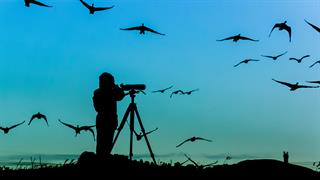 Ποια δραστηριότητα στη φύση μπορεί να βελτιώσει την ψυχική υγεία φοιτητών [μελέτη]