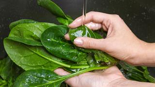 Ποιες νόσους περιορίζει η κατανάλωση λαχανικών αντί κρέατος [ανασκόπηση]