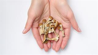 ''Μαγικά μανιτάρια'' ανακούφισαν συμπτώματα γυναίκας με long Covid