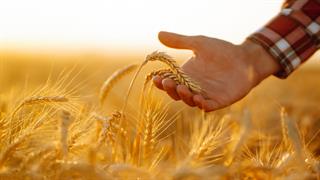 Παγκόσμια Ημέρα Ασφάλειας Τροφίμων: ‘’Προετοιμαστείτε για το απρόβλεπτο’’