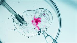 Γονιμότητα και εξωσωματική γονιμοποίηση: Πόσο επηρεάζει το κάπνισμα