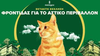 Πώς θα φροντίσετε τα ζώα και τα φυτά της γειτονιάς σας τις μέρες του καύσωνα