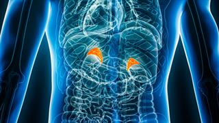 Τυχαίος όγκος στο επινεφρίδιο σε αξονική: Τι πρέπει να γνωρίζουμε