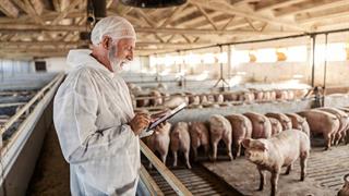 Πώς η διατροφή μας μπορεί να οδηγήσει σε νέα πανδημία