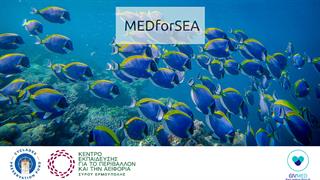 MEDforSEA: Οι νέοι προστατεύουν την υδρόβια ζωή μέσω της βιώσιμης διαχείρισης φαρμάκων