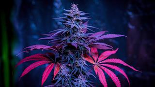 ΕΟΠΑΕ: Νέες Δομές στην Κεντρική Μακεδονία για τις εξαρτήσεις με τη συγχρηματοδότηση του ΕΣΠΑ