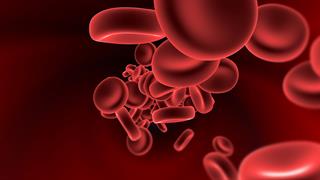 Ενισχυμένες βλάβες σε αγγειακές παθήσεις: Στο επίκεντρο οι πρωτεϊνικοί διακόπτες στα αιμοφόρα αγγεία