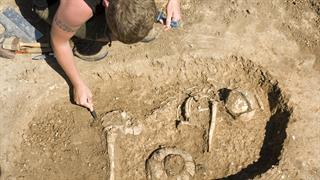 Παθογόνο της πανώλης ανακαλύφθηκε σε δόντι προβάτου 4.000 ετών