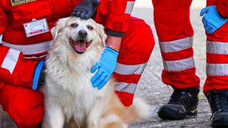 ΕΕΣ: Μεγάλη δράση για τους τετράποδους φίλους μας στην Πλατεία Συντάγματος