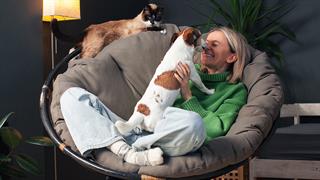 Ανθεκτικά μικρόβια σε κατοικίδια, ακόμη και χωρίς στενή επαφή με ανθρώπους