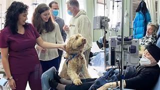 Γεωργιάδης: Εξετάζουμε οι ογκολογικοί ασθενείς να φέρνουν τα δικά τους σκυλιά στο 