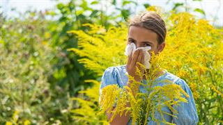 Αλλεργίες: Η εποχή της αμβροσίας έχει αρχίσει στην Γερμανία πλήττοντας τους αλλεργικούς