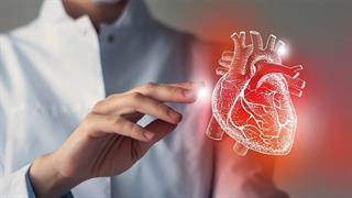 ΑΠΘ: Καινοτόμος έρευνα σε οργανοειδή για θεραπεία καρδιακών παθήσεων