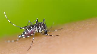 ΕΟΔΥ: 2 ακόμη θάνατοι και 9 κρούσματα ιού Δυτικού Νείλου