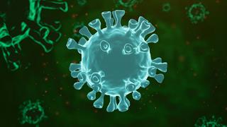 Γιατί ορισμένοι ιοί της γρίπης είναι πιο επικίνδυνοι από άλλους