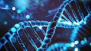 Άτλας ανθρώπινων αθηροσκληρωτικών πλακών με βάση αναλύσεις μεμονωμένων κυττάρων