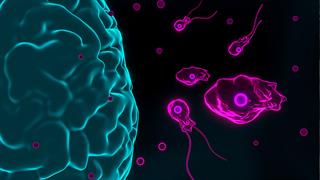 Ανησυχία στην Ινδία  για τους θανάτους από 