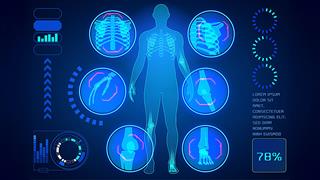 Τα ανθρώπινα όργανα δεν είναι αρσενικά ή θηλυκά