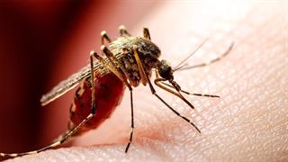 ΕΟΔΥ: 4 νέα κρούσματα ιού του Δυτικού Νείλου