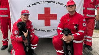 Ο Ε.Ε.Σ. ενισχύει την Κυνοφιλική Ομάδα Έρευνας & Διάσωσης με δύο νέα σκυλάκια