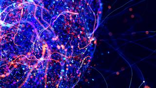 Προσανατολισμός: Πώς ο εγκέφαλος διαβάζει σωστά τον 