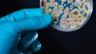 Μικροβιακή αντοχή: Ο ΠΟΥ καλεί σε αντίδραση