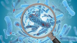 Γιατί τα αντιβιοτικά χάνουν την αποτελεσματικότητά τους