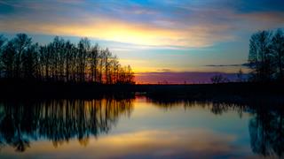 Διεθνής Ημέρα Τοπίου