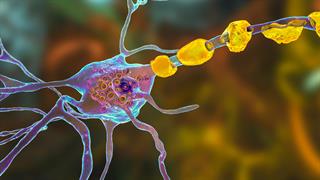 Kενό μεταξύ παιδιατρικής και ενήλικης φροντίδας για τους ασθενείς με σπάνια λυσοσωμικά νοσήματα