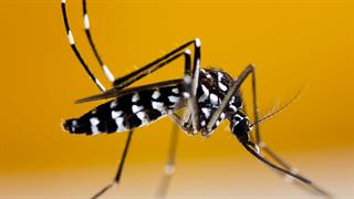 ΕΟΔΥ:  Κανένα νέο κρούσμα ιού του Δυτικού Νείλου την τελευταία εβδομάδα