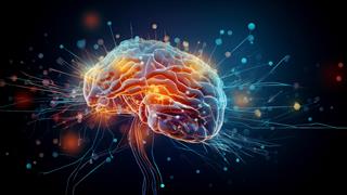 Σε ποιες ηλικίες αλλάζει ο εγκέφαλος