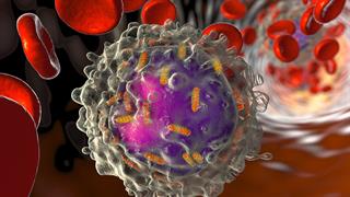 Μηχανισμός κυτταρικής προστασίας προστατεύει από την οξεία μυελογενή λευχαιμία