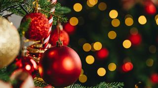 Χριστουγεννιάτικες αλλεργίες και ''Σύνδρομο Χριστουγεννιάτικου Δέντρου''