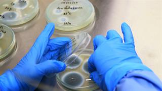 Ερευνήτρια προειδοποιεί για αυξανόμενη απειλή από ανθεκτικούς μύκητες