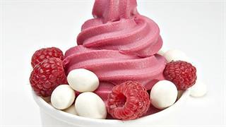 Η ανατομία ενός frozen yogurt