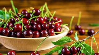 Έρευνα συνδέει την κατανάλωση κερασιών με την αποφυγή εμφάνισης ουρικής αρθρίτιδας