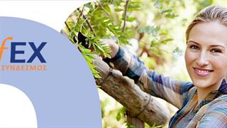 ΕΦΕΧ: ο ανταγωνισμός μειώνει τις τιμές στα ΜΗΣΥΦΑ