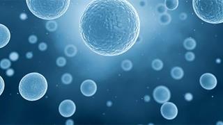 H χρήση των βλαστοκυττάρων στη θεραπεία των αυτοάνοσων ασθενειών