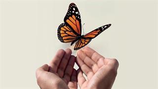 Ημερίδα για τις ρευματικές παθήσεις στο Δήμο Κερατσινίου - Δραπετσώνας