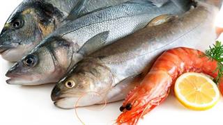 ΣΕΘ: Η Ελλάδα κρατά την πρωτιά σε τσιπούρα- λαβράκι