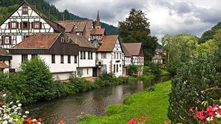 Εξερευνώντας τον μαγευτικό Μέλανα Δρυμό