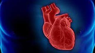 Ε.Ψ.Υ.Π.Ε: Εικαστική έκθεση 'Από καρδιάς'